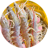 榮成市豐隆農副產(chǎn)品鮮活捕撈